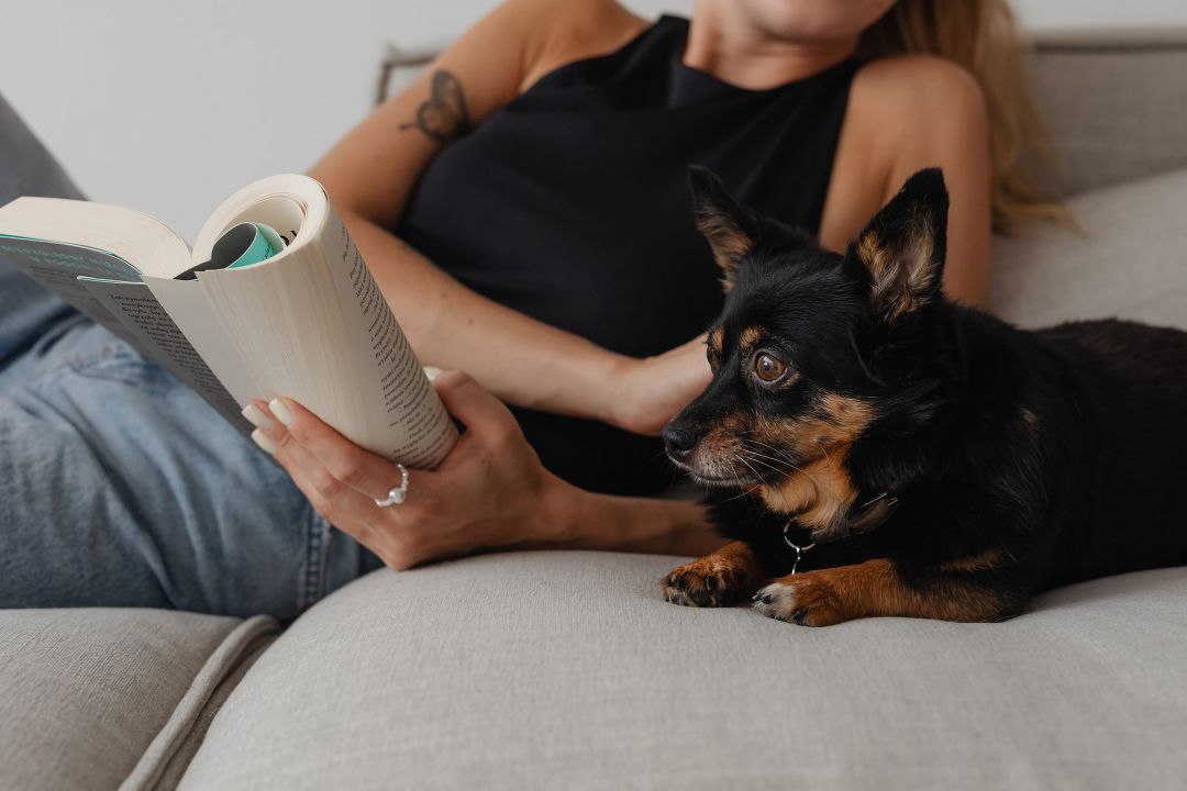 A woman reading a book on a grey couch, and a small dog laying next to her